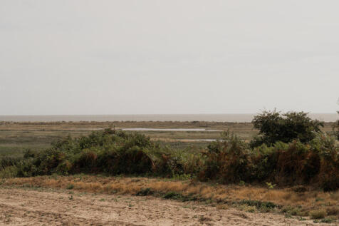 307370 - Seagulls, Walberswick-46.jpg