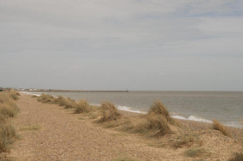 307350 - Seagulls, Walberswick-26.jpg