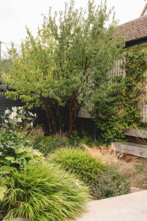 306349 - TheGardenHouse_WheelerEnd_HighRes-55.jpg