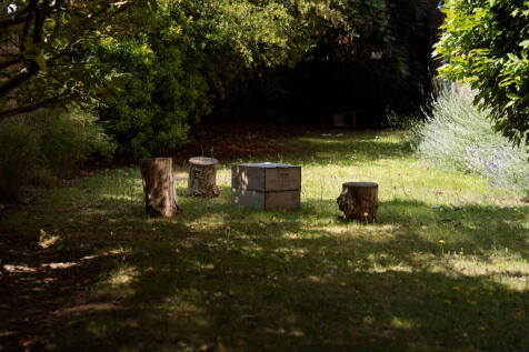 293954 - DSC05706.jpg