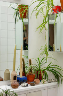 316430 - _MG_9997.jpg