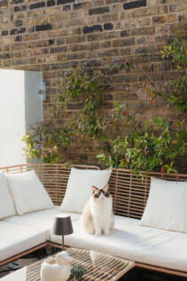 299393 - COUNTY-STREET-SE1-35.jpg