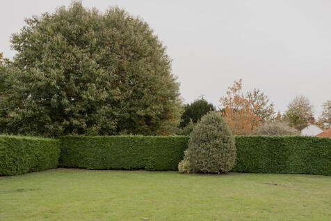 316301 - Leo, Stanhoe-52.jpg