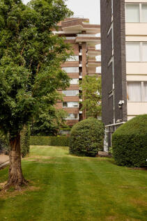 303416 - TMH_IMPERIAL COURT_42.JPG