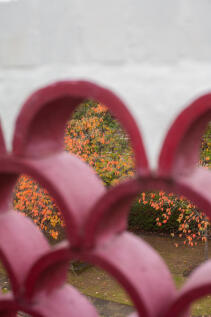 317961 - EalingVillage_KElliott_014.jpg