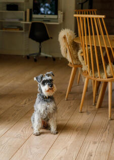 318042 - Kaylow, Rosedale Walk, Frome-24.JPG