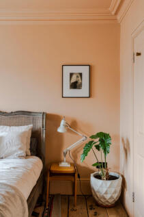 319422 - 29 Trafalgar Avenue-6.jpeg