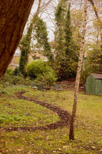 321731 - TMN_SYLVAN ROAD_53.JPG