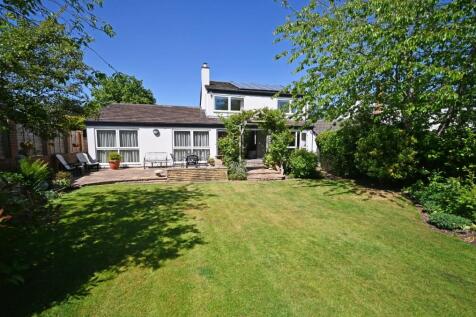 Property Image 39