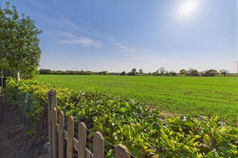 CAM04116G0-PR0173-STILL046.jpg