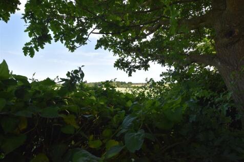 DSC_0232.JPG
