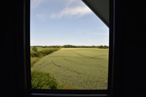 DSC_0248.JPG
