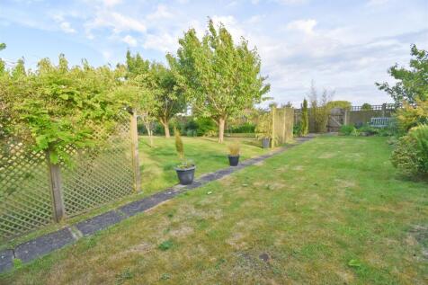 Garden 2.jpg