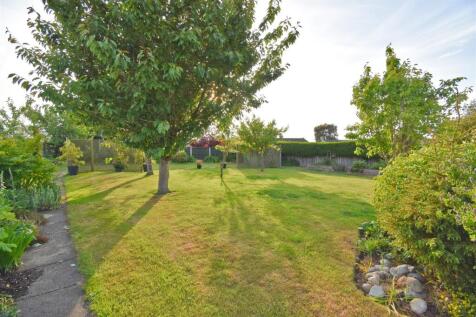 Garden 4.jpg