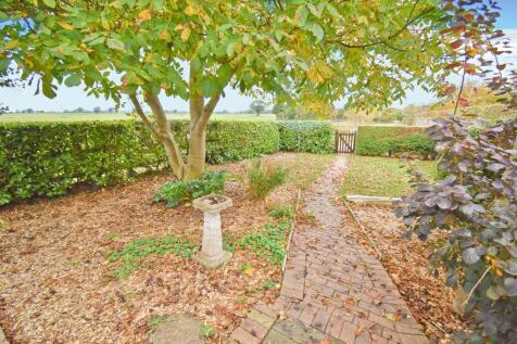Garden 2.jpg