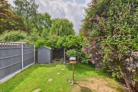 rear garden 2