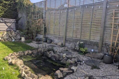 Pond