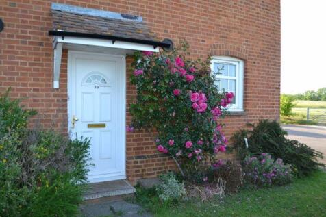 Roses around the front door