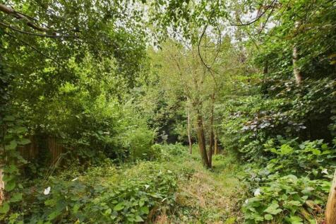 Wooded Garden
