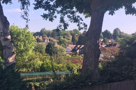 Views from garden