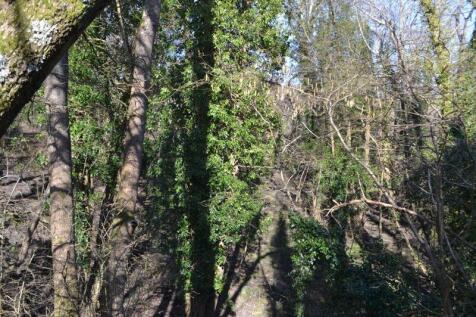Woodland