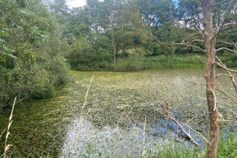 Pond