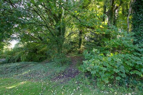 Woodland