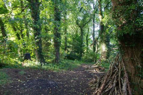 Woodland