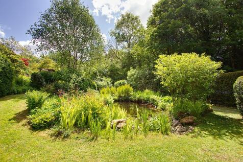 Wildlife pond