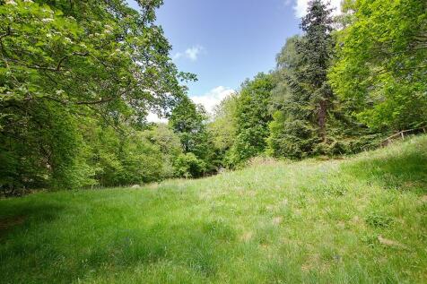Meadow