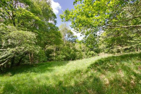 Meadow