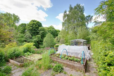 Vegetable garden