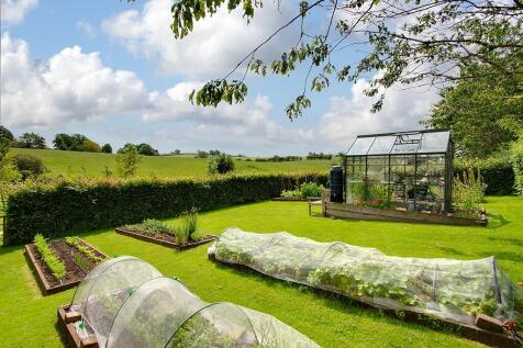 Vegetable garden