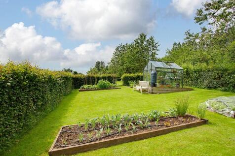 Vegetable garden
