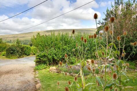 SE divorced garden