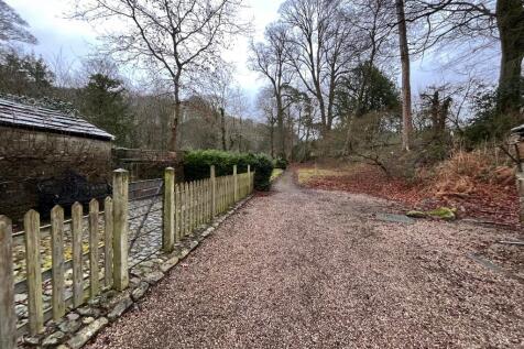 Woodland walk