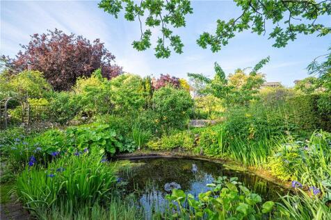 Pond