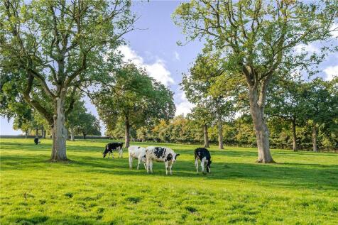 Communal Grounds