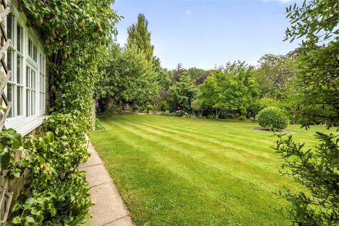 Rear Gardens