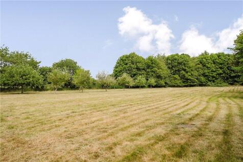 Orchard &amp; Meadow
