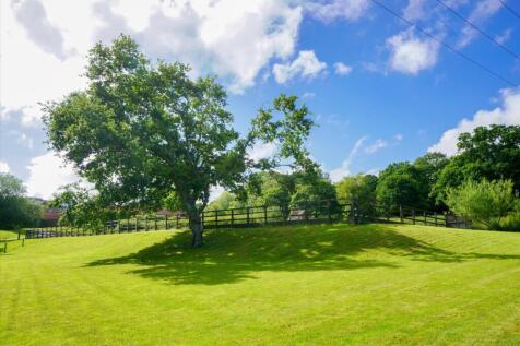 Property Image 35