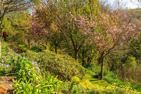 Property Image 34