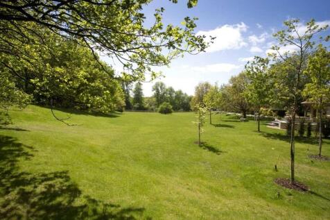 Extensive grounds