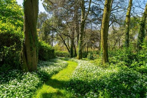 Property Image 30