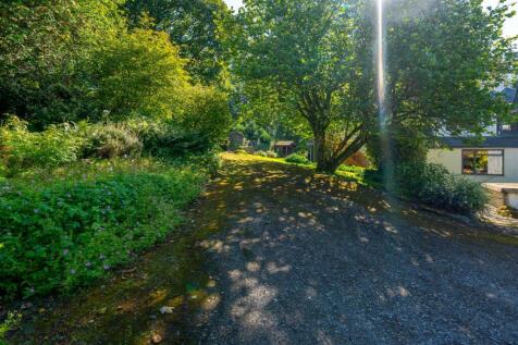DSC01945-HDR.jpg