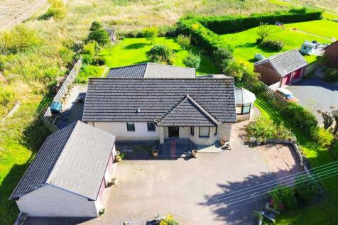 DJI_0986.jpg