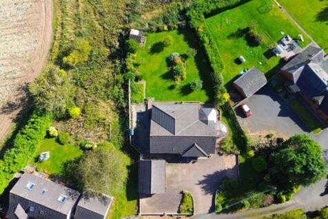 DJI_0989.jpg