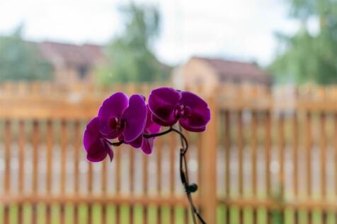 DSC00226-HDR.jpg