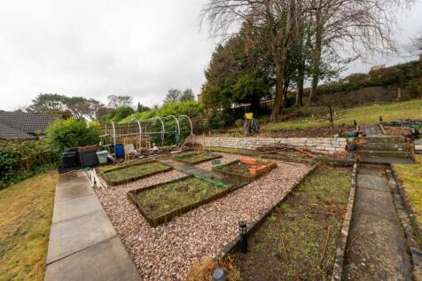 DSC09594-HDR.jpg