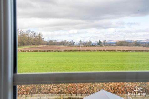 DSC09948-HDR.jpg